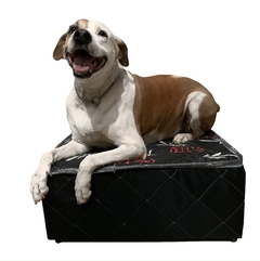Cama Box para Pet 50x50x22cm, cães e gatos Orthovida