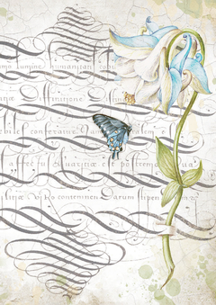 Pacote 6 folhas de acetato A4 - Romantic Garden House - Mon Papier Crafts