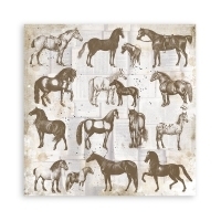 Bloco 10 Papéis 20.3x20,3cm (8"x8") + bônus - Horses