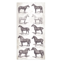 Collectables / Colecionável 15x30.5cm - Horses