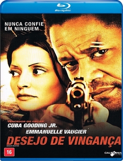 Desejo de Vinganca (2013) Blu Ray Dublado e legendado