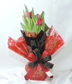 Tulipa Poly - comprar online