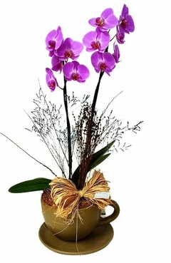 Orquídea na Xícara Verde