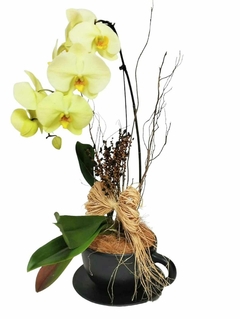 Orquídea na Xícara Preta