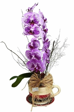 Orquídea na Xícara Listrada