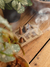 Sahumerios aromáticos conito x16 - comprar online