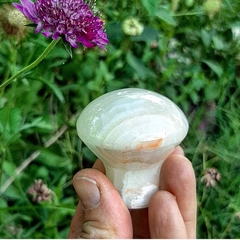 Mushroom gua sha de Ónix Blanco