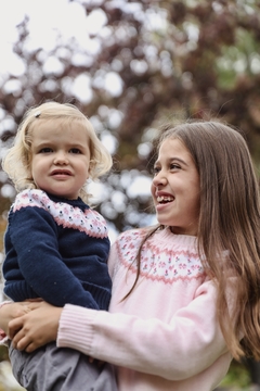 Sweater guarda rosa - comprar online