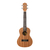 Ukulele Kalani Concert 24 Kayke Natural Sapele KAL300 CS