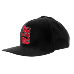 Boné Grizzly Snapback Bearz In The Hood - comprar online