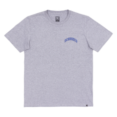 Camiseta DC Orientation Grey - comprar online