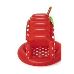 Pileta Inflable Frutilla Con Techo Protector Bestway cod.52387 en internet