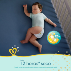 PROMO! 30% OFF Pampers Pants Premium Care en internet