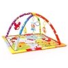 Gimnasio Didactico Rainbow cod.14368