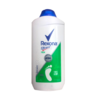 Rexona talco efficient fresh 48hs de protección 200g