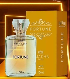 Imagem do kit 20 perfumes de 100ml amakha paris