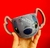 Taza Stitch 3D