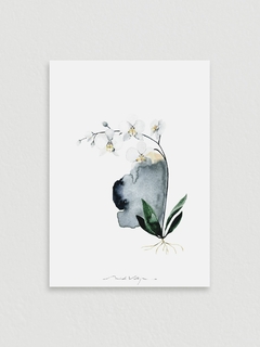 Print Orquídea Amabilis