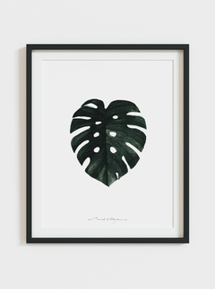 Print Monstera