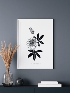 Print Passiflora Caruela - comprar online