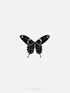 Composición Prints Mariposas - comprar online