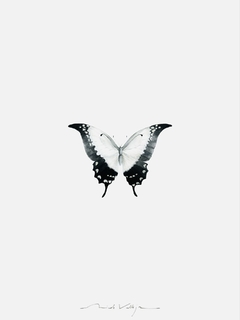Composición Prints Mariposas en internet