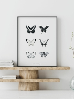 Print Póster Mariposas - comprar online