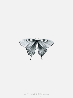 Composición Prints Mariposas