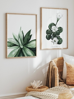 Print Cactus en Flor - comprar online