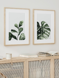 Print Ficus Lyrata - comprar online
