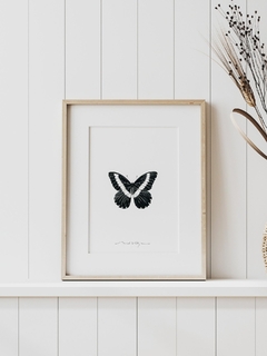 Print Mariposa Papilio - comprar online