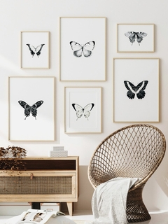 Print Mariposa Albatros - comprar online