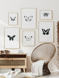 Composición Prints Mariposas