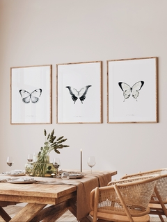Print Mariposa Morpho - comprar online