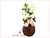 Orquídea Dendrobium Delicada em Lindo Vaso de Vidro - comprar online
