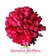 Buquê de Noiva em Formato Redondo de Rosas Pink - BN00032 - Harmonia das Flores