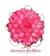 Imagem do Buquê de Noiva em Formato Redondo de Rosas Pink - BN00032