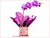 Combo Presente Dia do Cliente com Orquídea, Balão e Chocolate - Harmonia das Flores