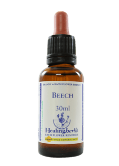 BEECH FLORAL DE BACH REVENDA 30ML - comprar online