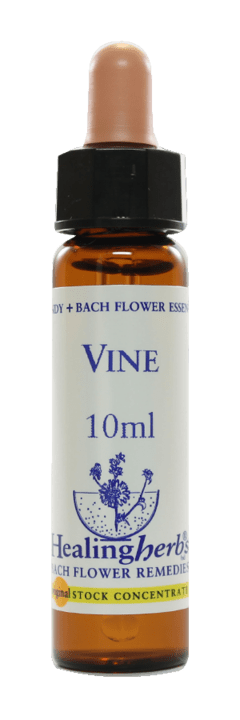 VINE FLORAL DE BACH 10ML - comprar online