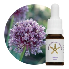 ALLIUM SAINT GERMAIN 10ML