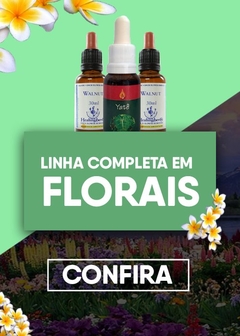 Deo Colônia Roll On Flor de Jasmim e Amêndoas Doces da Boutique de