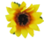 Buquê de Girassol Artificial Com 18 Flores - loja online