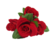 Buquê de Rosa Veludo Com 5 Galhos - Papoula Flor Comércio EIRELI