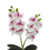 Imagem do Mini Orquídea Artificial