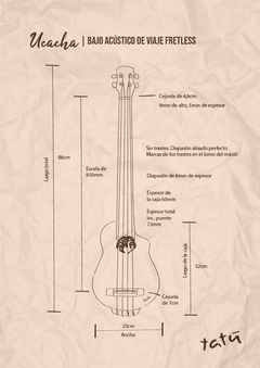 Ucacha (Bajo ACÚSTICO FRETLESS) en internet