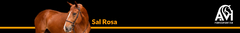 Banner da categoria Sal Rosa