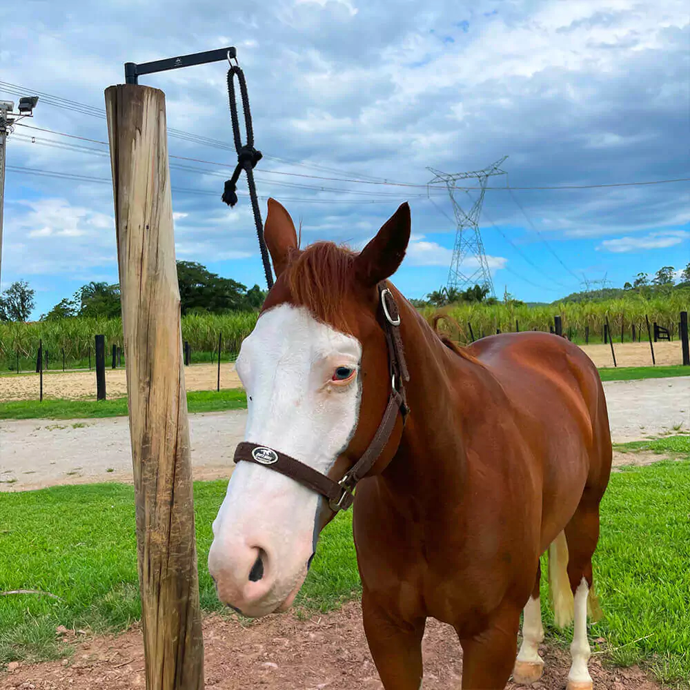 Corda De Amarrar Cavalo