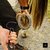 Limpador de Casco de Cavalo - Grande - Foto 4