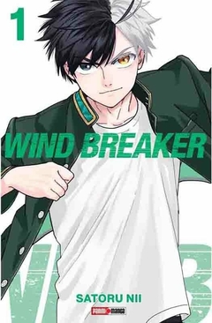 Wind Breaker #1